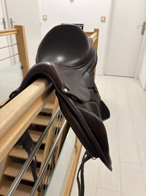 Sella da salto ostacoli Antar&egrave;s  17.5" - 2023