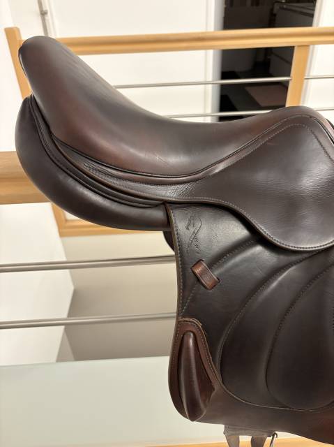 Sella da salto ostacoli Antar&egrave;s  17.5" - 2023