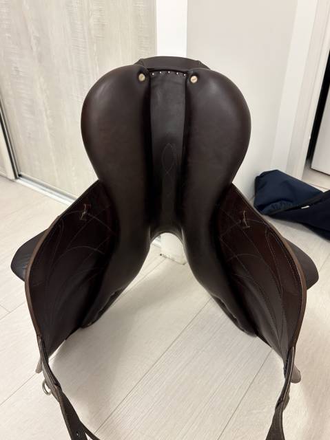 Sella da salto ostacoli Antar&egrave;s  17.5" - 2023