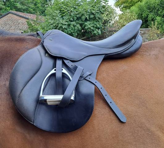 Stubben Scandica 18" - 30cm