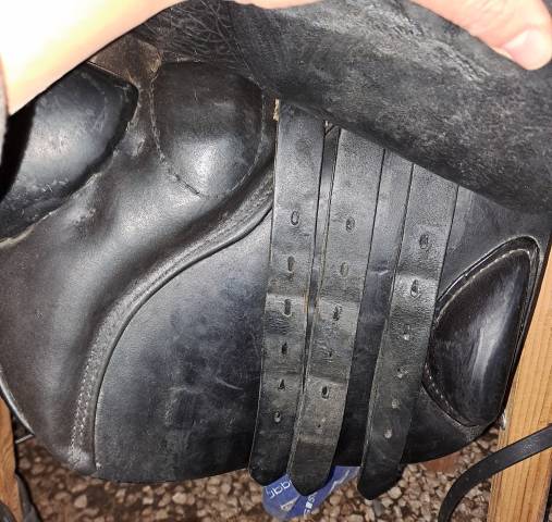 Stubben Scandica 18" - 30cm