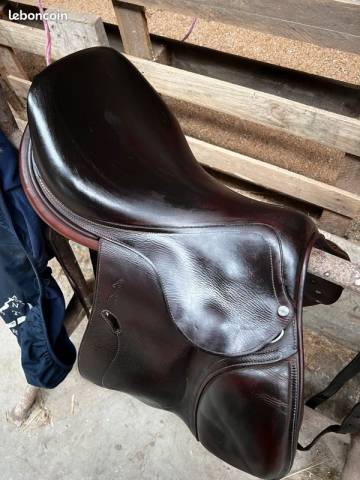 Sella mista Antar&egrave;s  17.5" - 2015