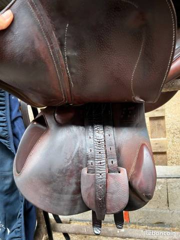 Sella mista Antar&egrave;s  17.5" - 2015