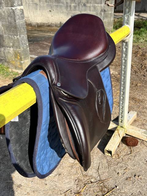 Sella da salto ostacoli Antar&egrave;s  17.5" - 2024