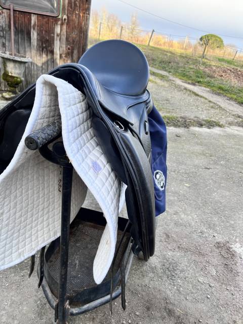 Sella da dressage  Schleese  17.5" - 2023