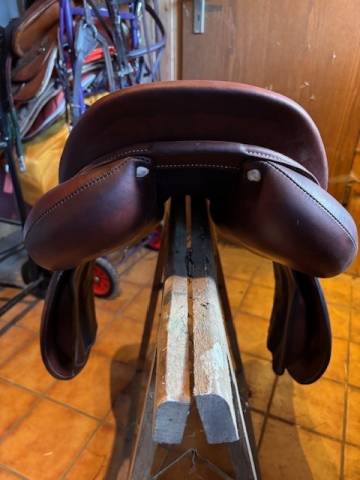 Sella da salto ostacoli Antar&egrave;s ExtraContact 17.5" - 2024