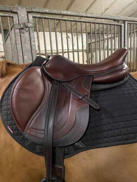 Sella da salto ostacoli CWD  17.5" - 2021