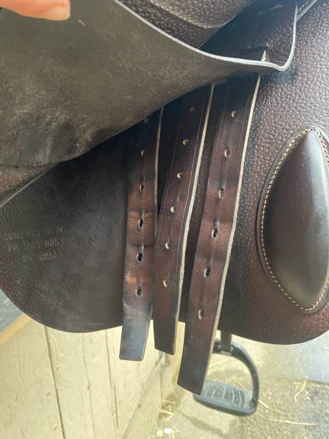 Sella da salto ostacoli CWD  17.5" - 2021