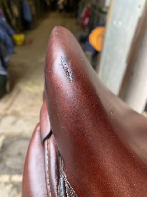 Sella da salto ostacoli CWD  17.5" - 2021