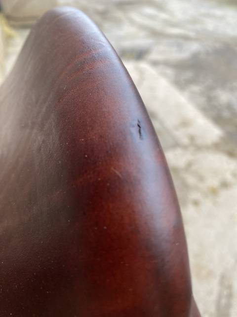 Sella da salto ostacoli CWD  17.5" - 2021