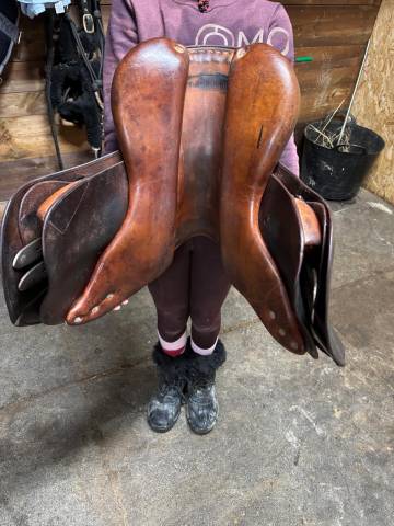 Sella Junior / Sella Pony Delgrange  15" - 2015