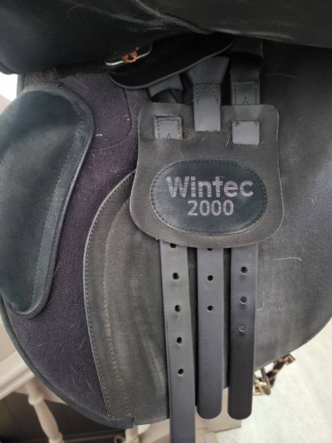 Sella mista Wintec  17.5" - 2022