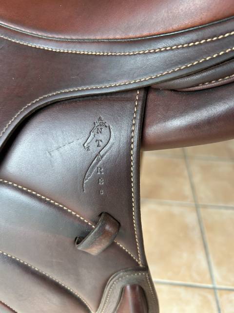 Sella da salto ostacoli Antar&egrave;s  17.5" - 2021