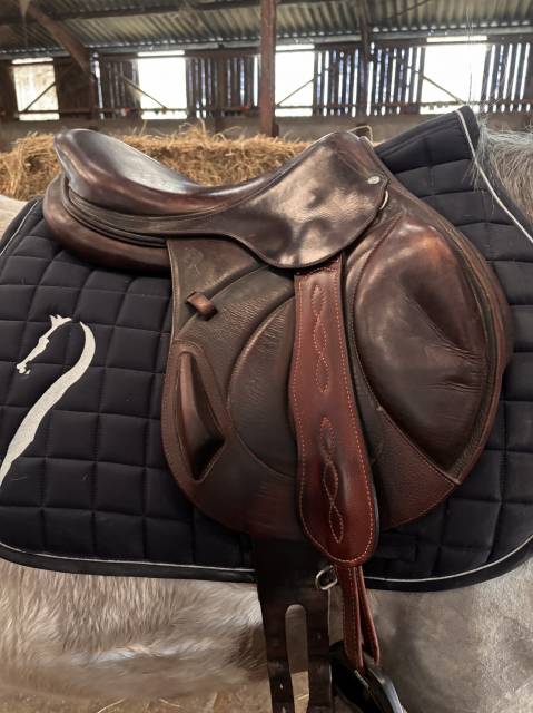 Sella da cross Antar&egrave;s  17.5" - 2014