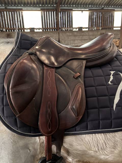 Sella da cross Antar&egrave;s  17.5" - 2014