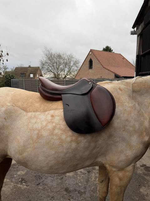 Sella da salto ostacoli  Benjamin Mahieu 17.5" - 2023