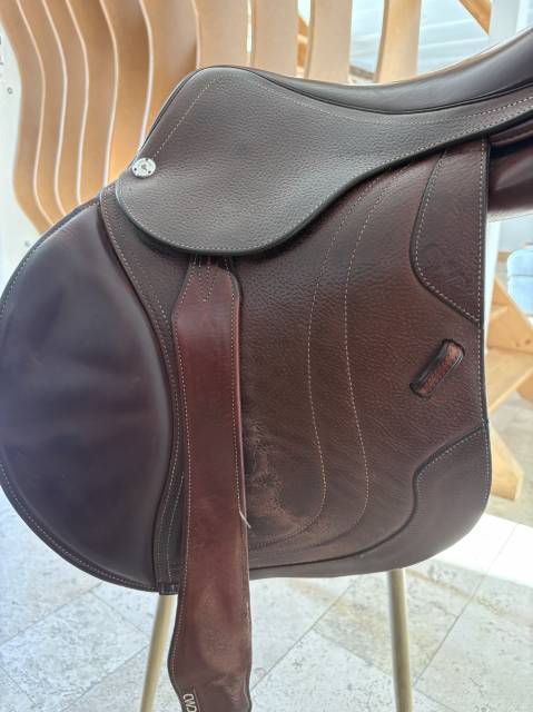 Sella da salto ostacoli CWD  17.5" - 2023