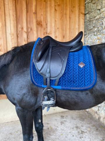 Sella da dressage Devoucoux  17.5" - 2022