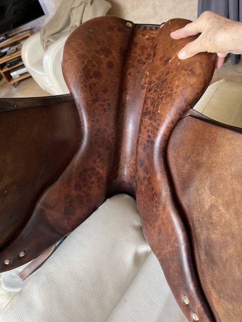 Sella da salto ostacoli Antar&egrave;s  17.5" - 2002