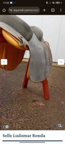 Sella spagnola Ludomar  17.5" - 2015