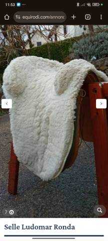 Sella spagnola Ludomar  17.5" - 2015