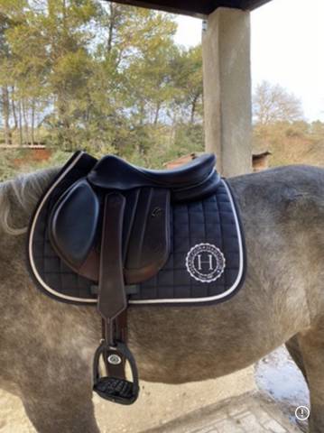 Sella da salto ostacoli Forestier  17.5" - 2022