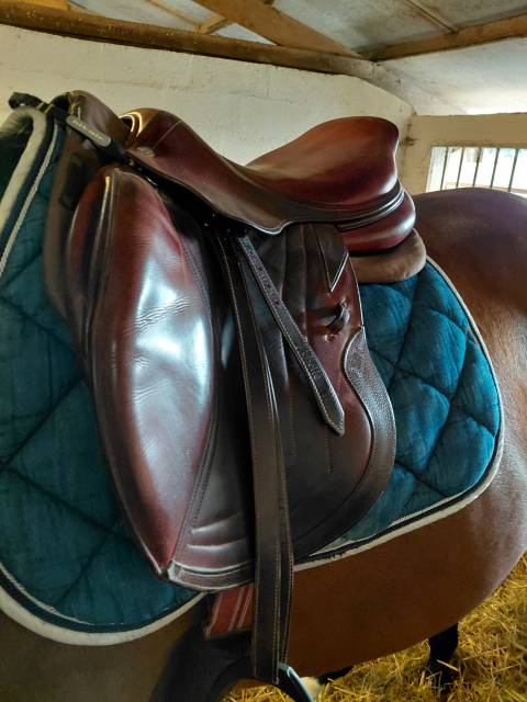 Sella mista CWD  17.5" - 2018