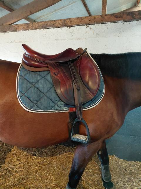 Sella mista CWD  17.5" - 2018