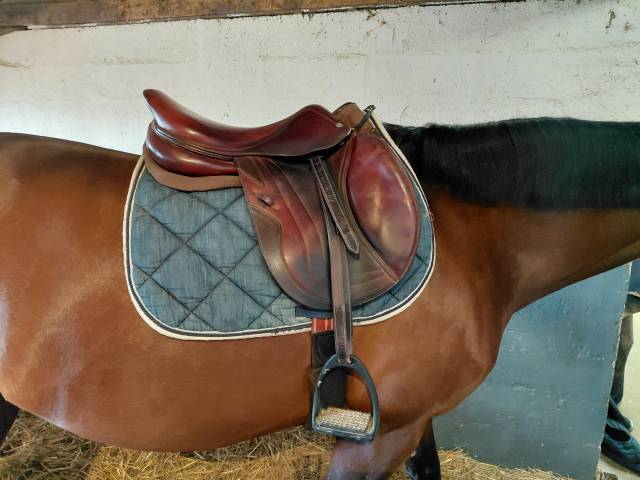 Sella mista CWD  17.5" - 2018