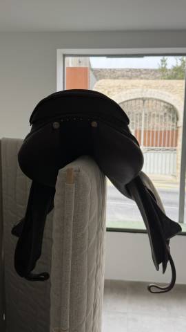 Sella da salto ostacoli Antar&egrave;s  17.5" - 2023