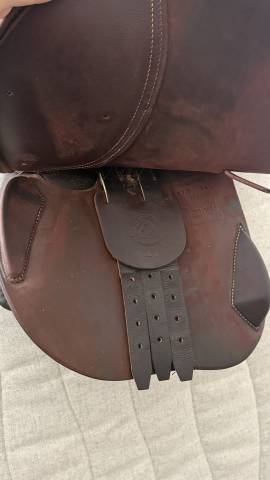 Sella da salto ostacoli Antar&egrave;s  17.5" - 2023