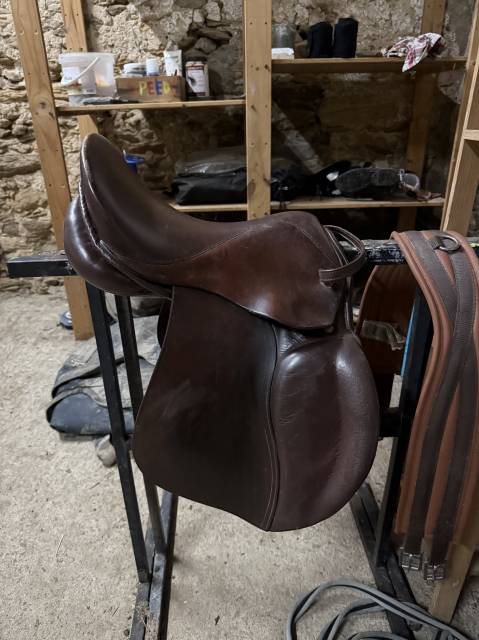 Sella Junior / Sella Pony Mondange  15" - 2021