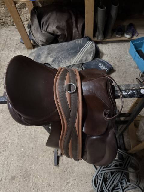 Sella Junior / Sella Pony Mondange  15" - 2021