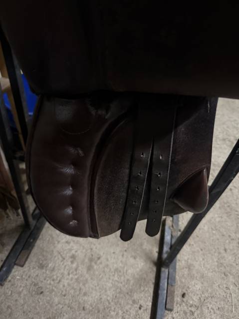 Sella Junior / Sella Pony Mondange  15" - 2021