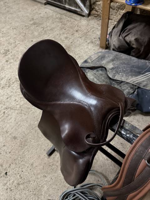 Sella Junior / Sella Pony Mondange  15" - 2021