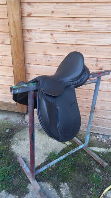 Sella da salto ostacoli  Selle Supreme Sydney  17" - 2022