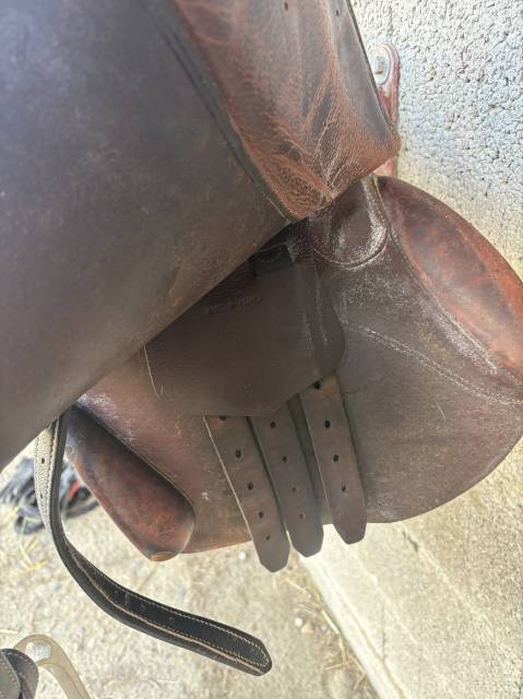 Sella mista  Coursay par forestier  17.5" - 2014