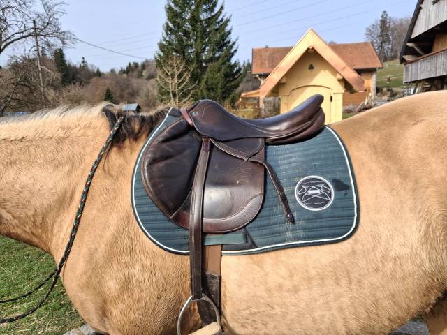 Sella da salto ostacoli Stubben  17.5" - 2024