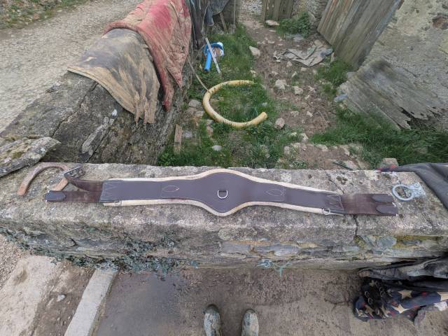 Sella da salto ostacoli CWD  17" - 2005