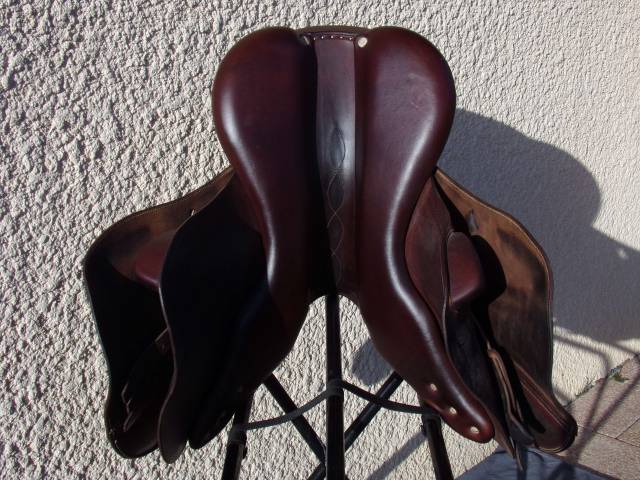 Sella da salto ostacoli Antar&egrave;s  17.5" - 2018