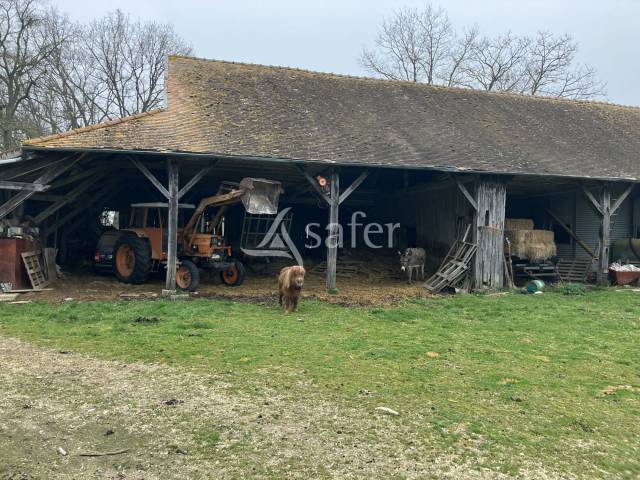 Azienda agricola In vendita Yonne
