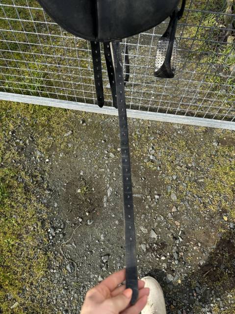 Sella da dressage Wintec Pro 17" - 2010