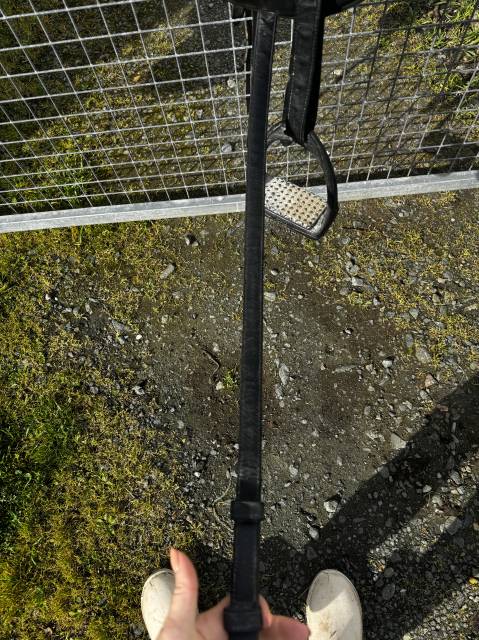 Sella da dressage Wintec Pro 17" - 2010