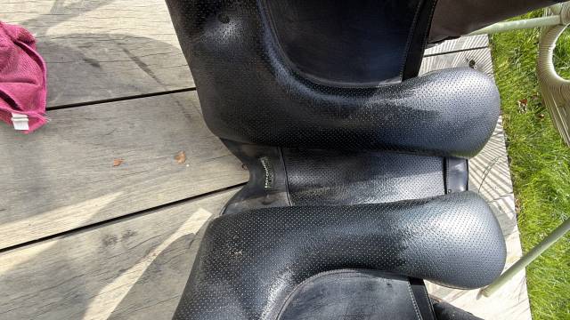 Sella da dressage Wintec  17" - 2022