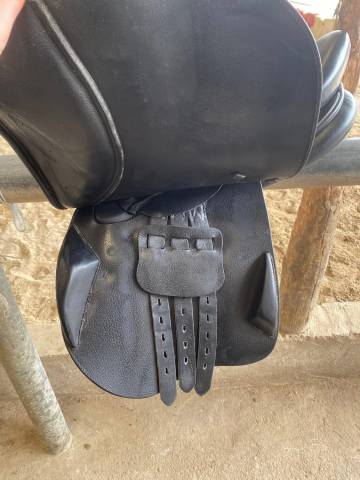 Sella mista   17.5" - 2018