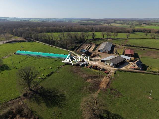 Azienda avicola In vendita Allier