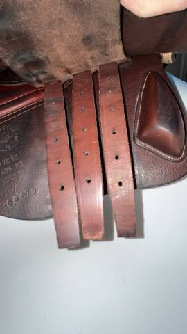 Sella da salto ostacoli CWD  17" - 2023