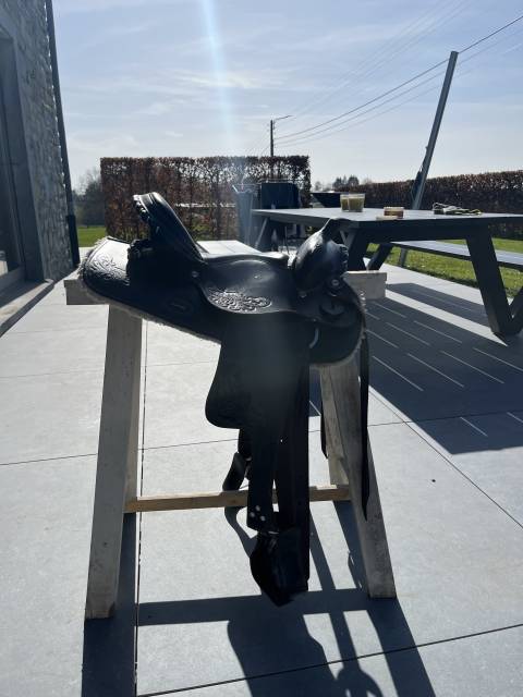 Sella western   14" - 2023