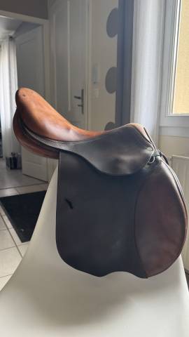 Sella da salto ostacoli Antar&egrave;s  17.5" - 2014