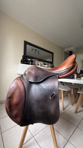 Sella da salto ostacoli Antar&egrave;s  17.5" - 2014